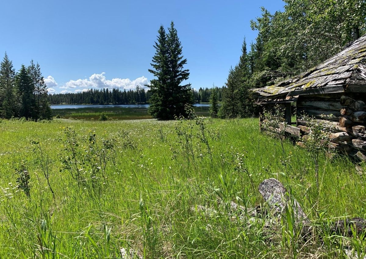 Homested on a British Columbia Cattle Ranch. #hayingseason #homestead #britishcolumbia