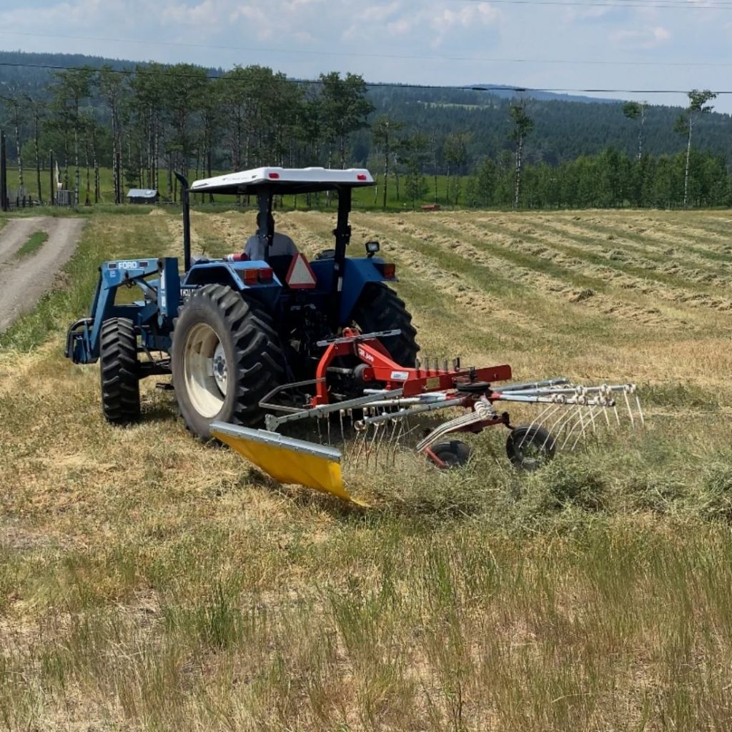 Raking Hay with Tractor and Rake