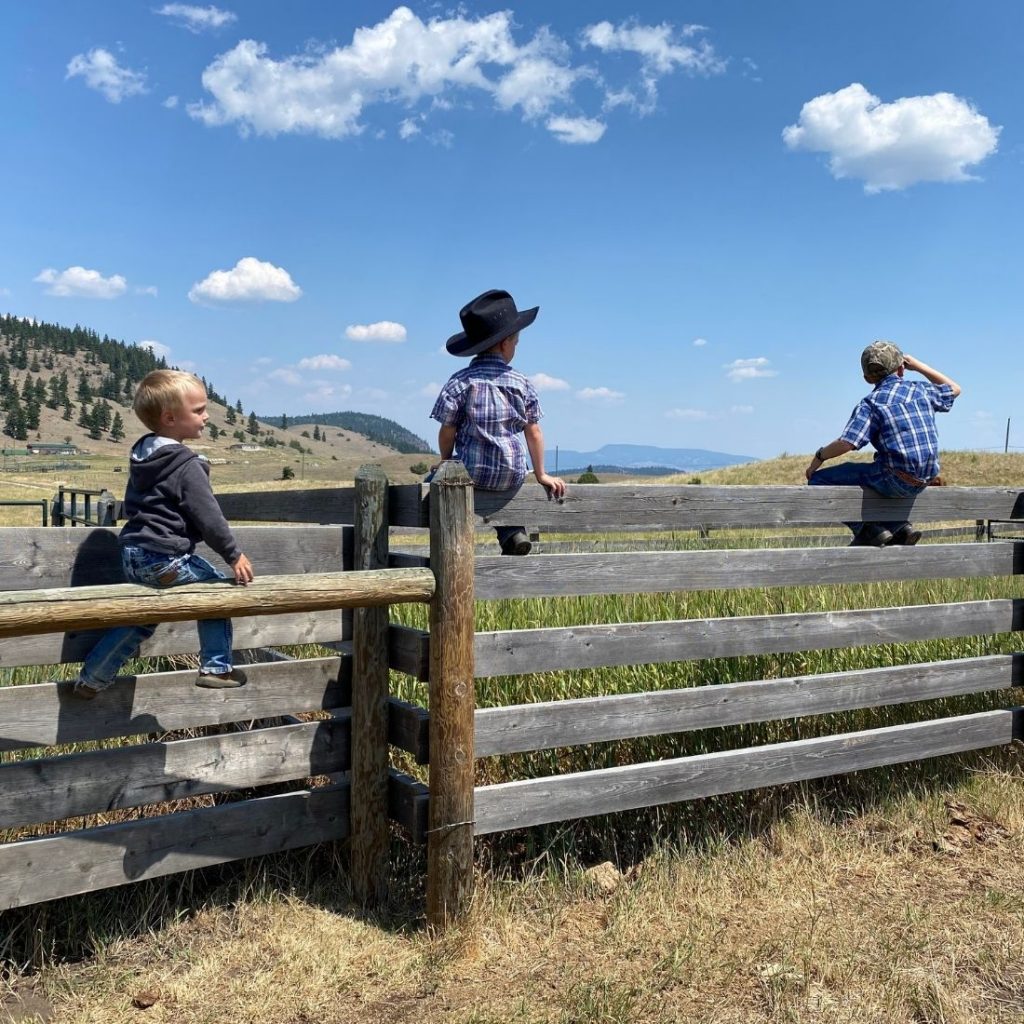 Ranch Kids Sitting on the Fence