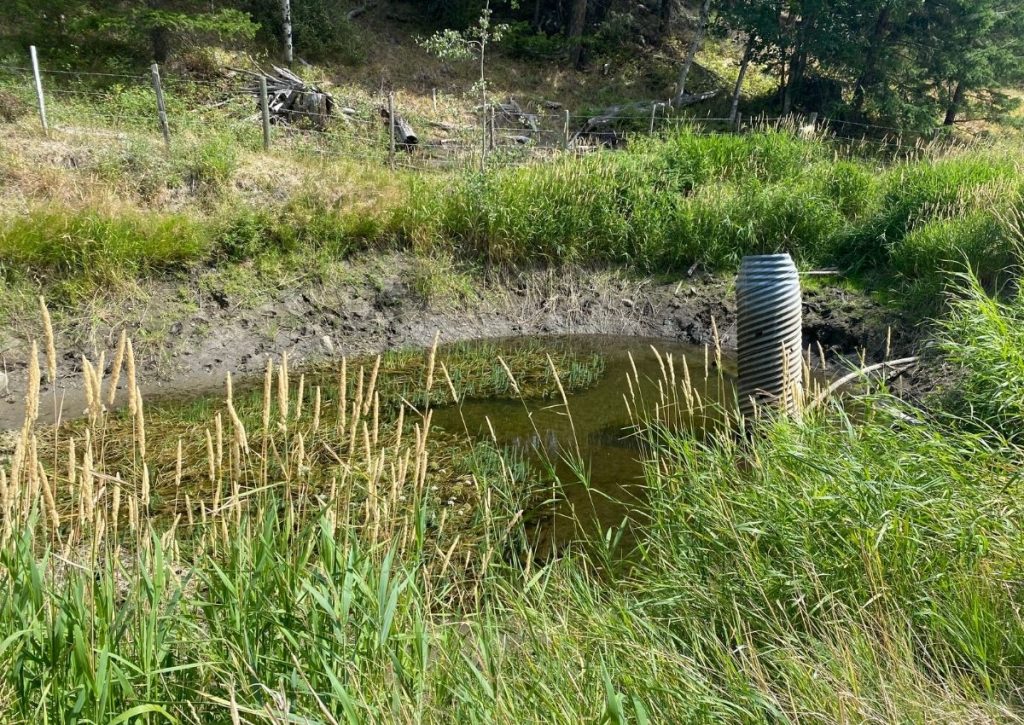 Water Development on Rangeland